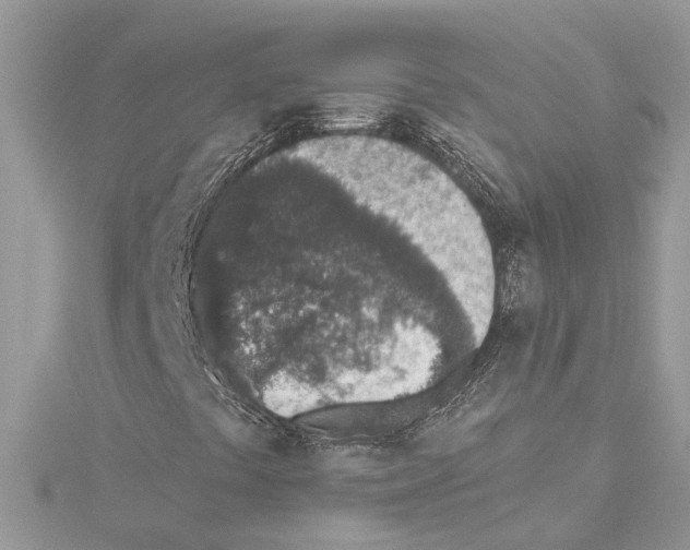 X0000114491441200911301056