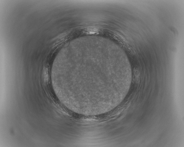 X0000114491442200911301056