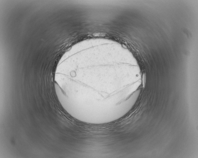 X0000114491443200911301056