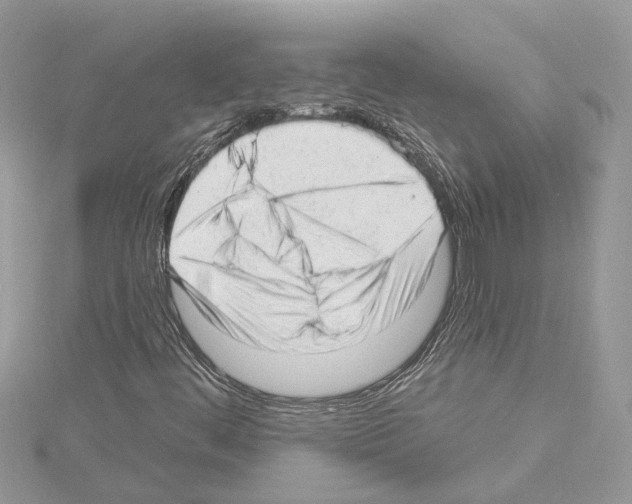 X0000114491444200911301056