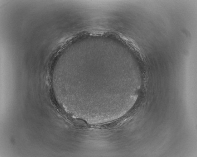 X0000114491445200911301056