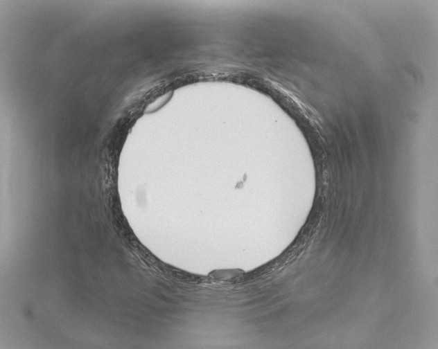 X0000114491447200911301056