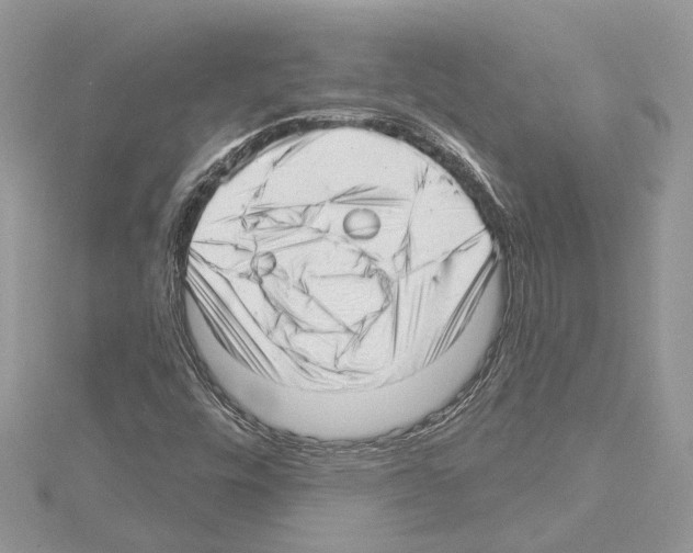 X0000114491448200911301056