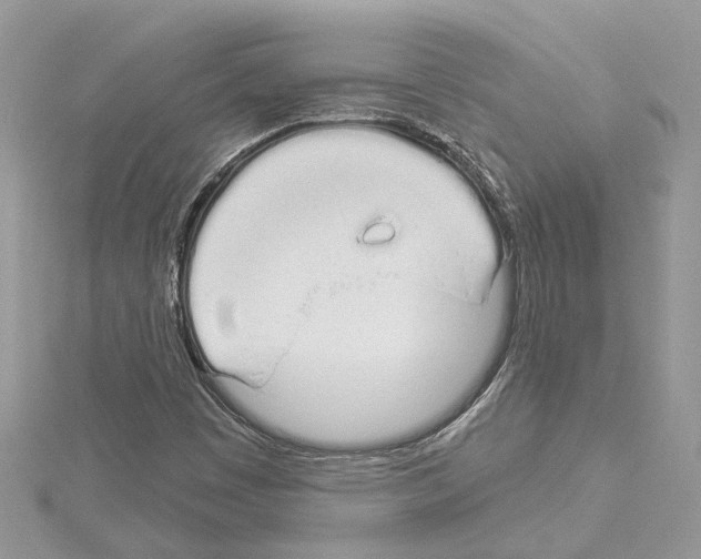 X0000114491449200911301056