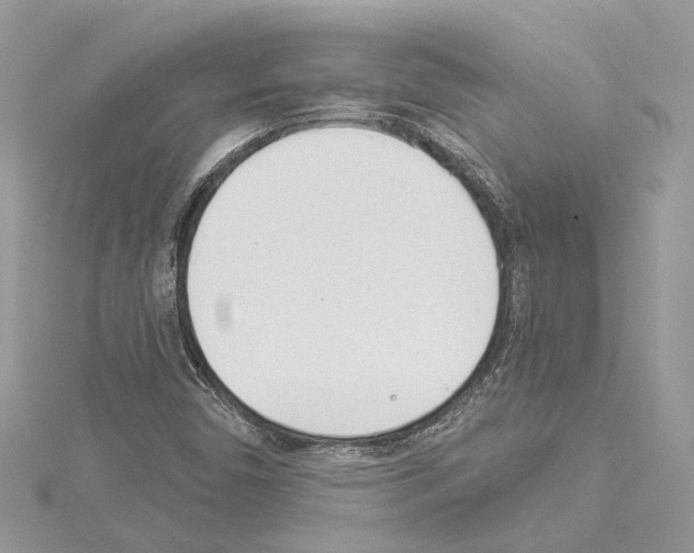 X0000114491450200911301056