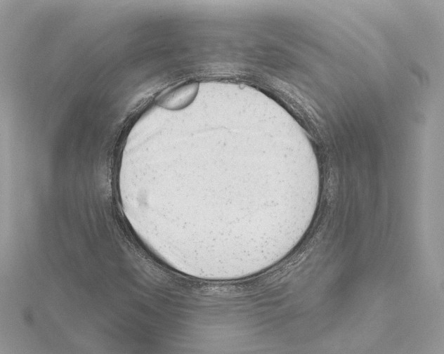 X0000114491451200911301056