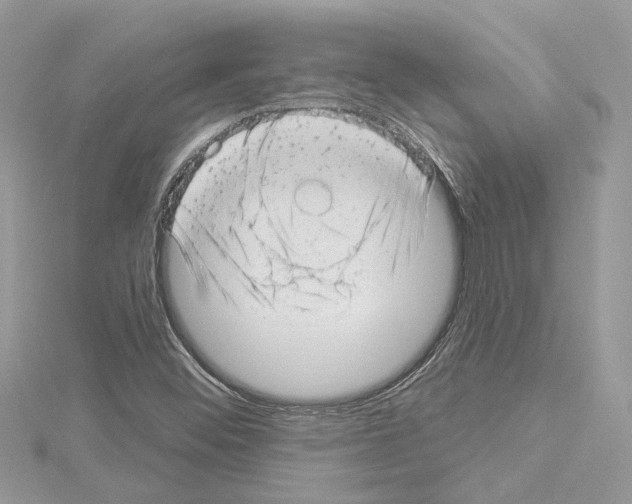 X0000114491452200911301056