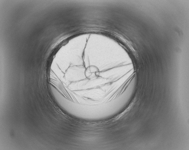 X0000114491453200911301056