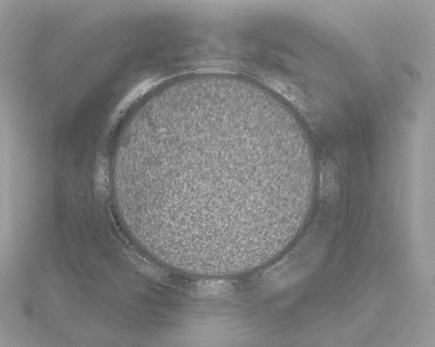 X0000114491454200911301056