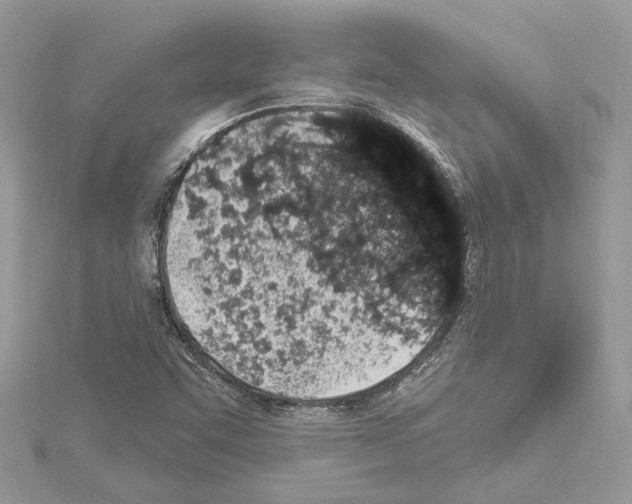 X0000114491455200911301056