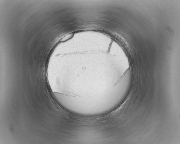 X0000114491457200911301056