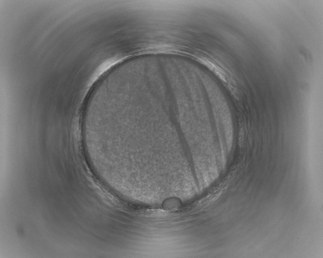 X0000114491458200911301056