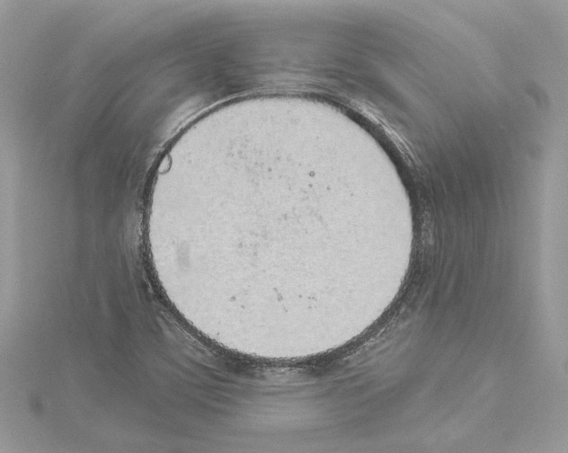 X0000114491459200911301056