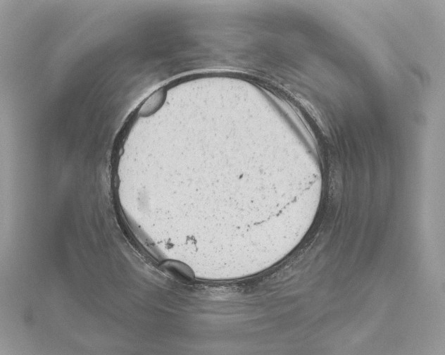 X0000114491460200911301056