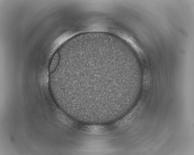 X0000114491461200911301055