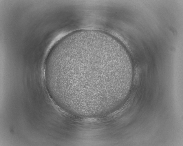 X0000114491462200911301055