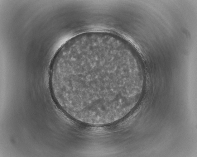 X0000114491463200911301055