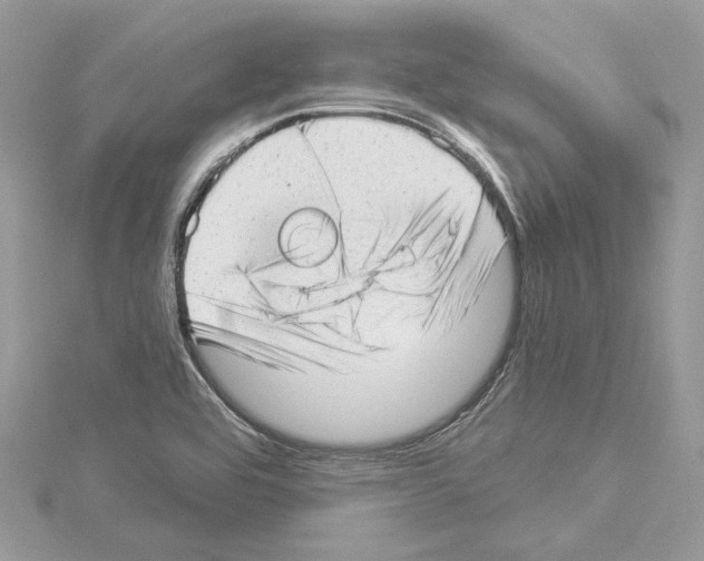 X0000114491464200911301055