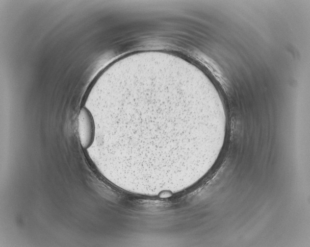 X0000114491465200911301055