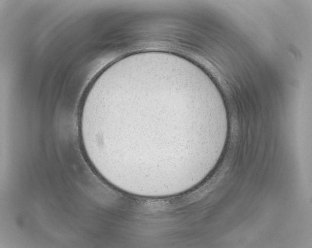 X0000114491466200911301055