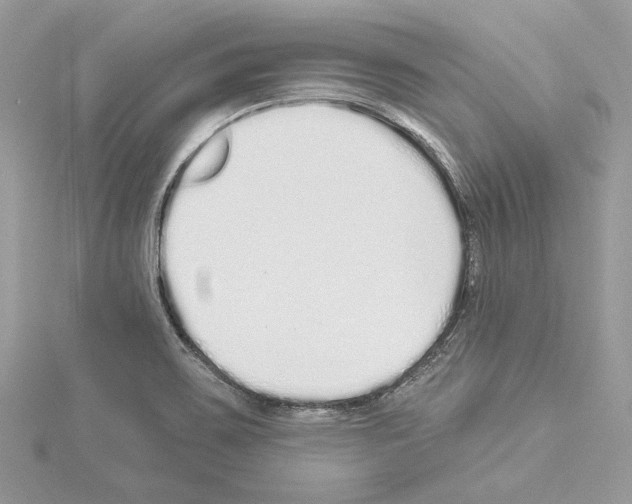 X0000114491467200911301055