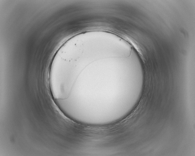 X0000114491468200911301055