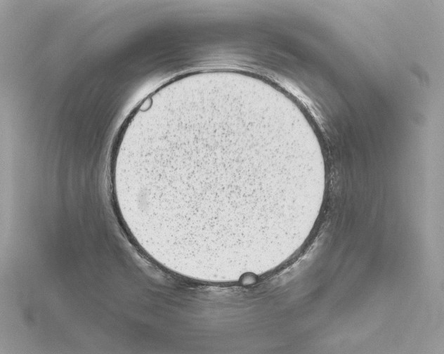 X0000114491469200911301055