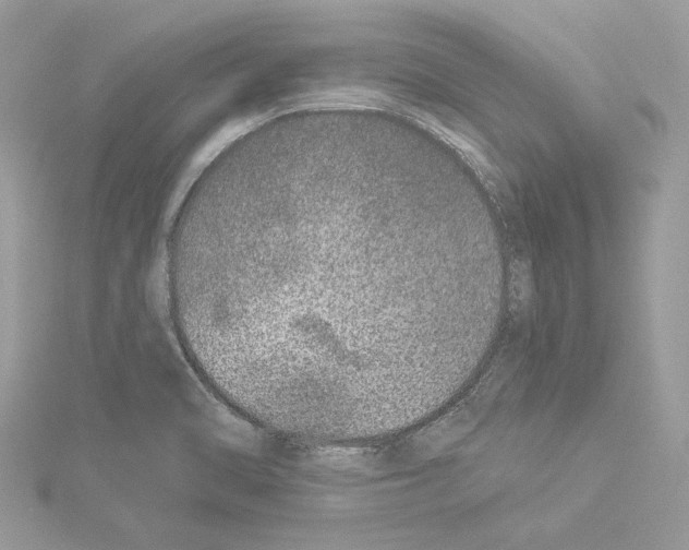 X0000114491470200911301055