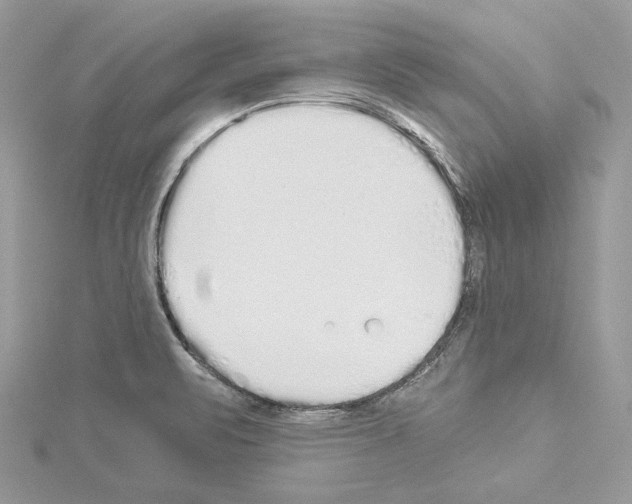 X0000114491471200911301055