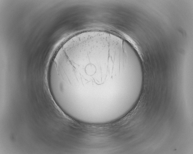 X0000114491472200911301055