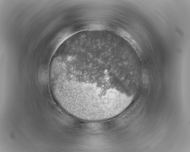 X0000114491473200911301055