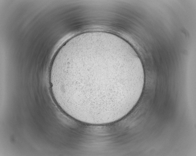 X0000114491474200911301055