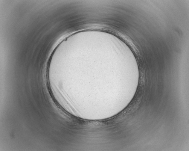 X0000114491475200911301055