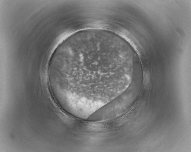 X0000114491477200911301055