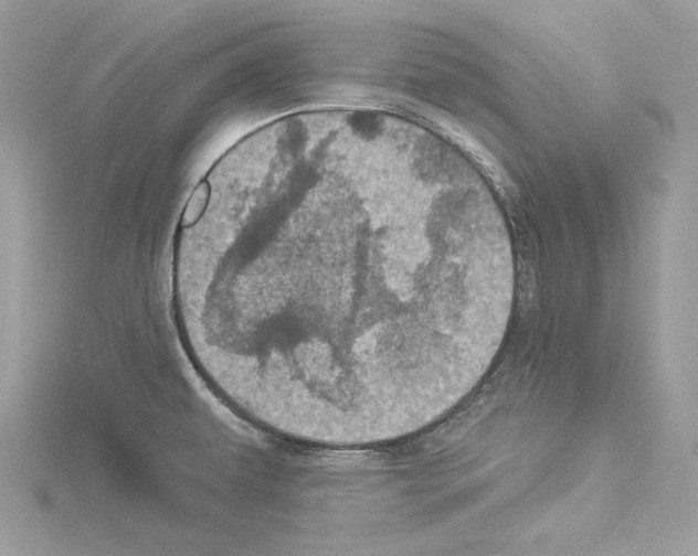 X0000114491479200911301055