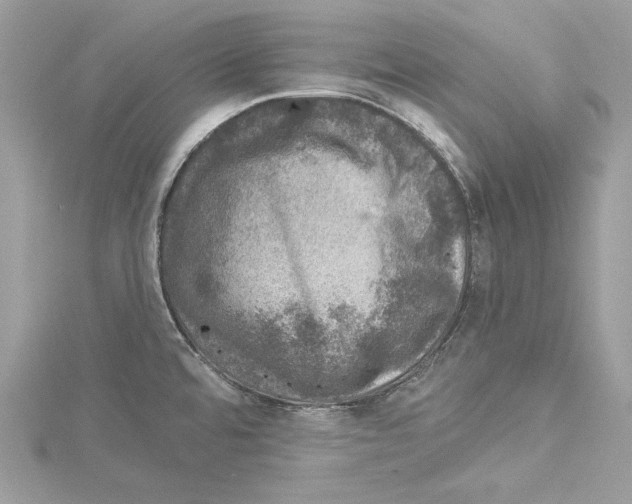 X0000114491480200911301055