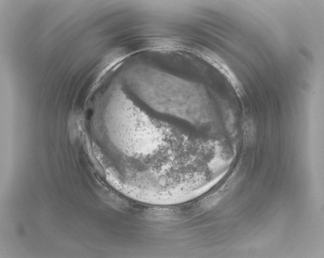 X0000114491481200911301055