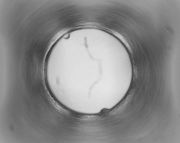 X0000114491482200911301055