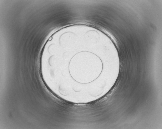 X0000114491483200911301055