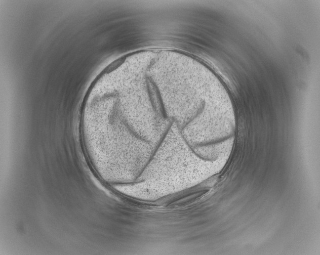 X0000114491484200911301055