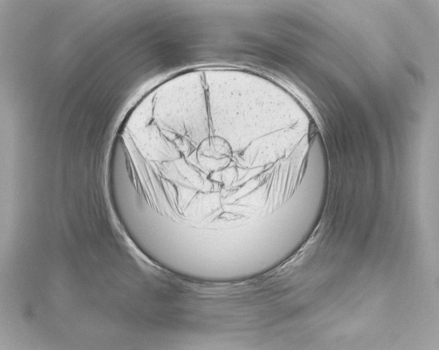 X0000114491485200911301055