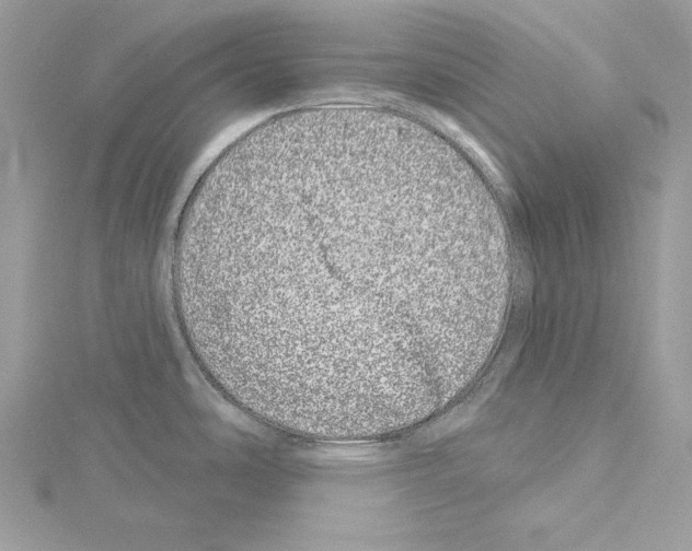 X0000114491486200911301055