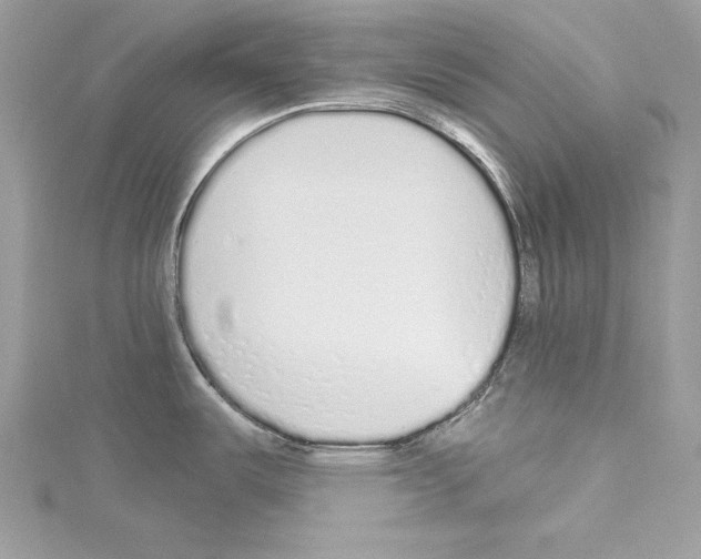 X0000114491487200911301055