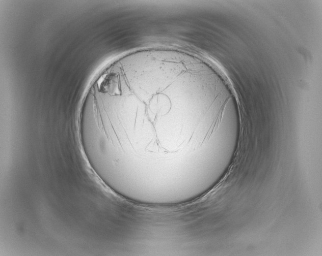 X0000114491488200911301055