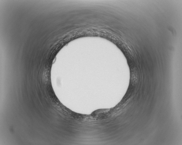 X0000114491490200911301054