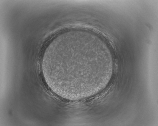 X0000114491493200911301054