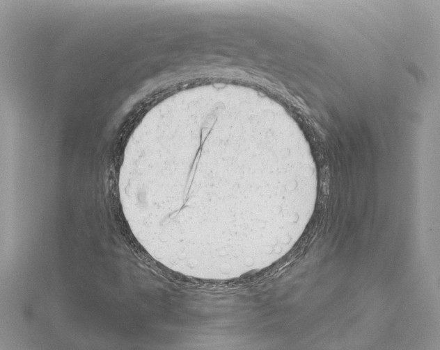 X0000114491495200911301054