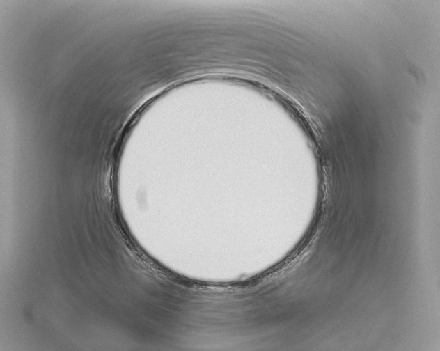 X0000114491497200911301054