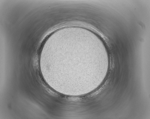 X0000114491498200911301054