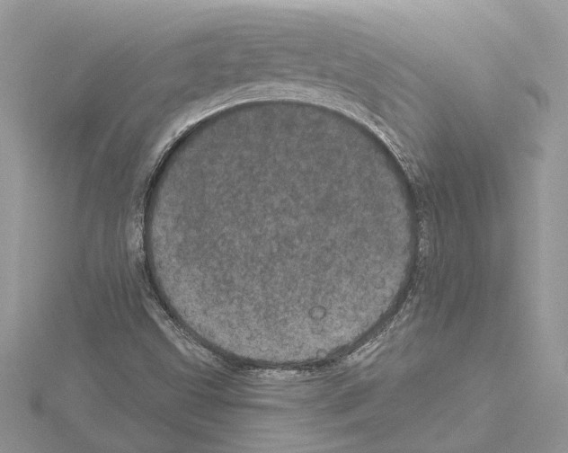 X0000114491499200911301054